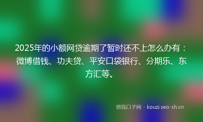 2025年的小额网贷逾期了暂时还不上怎么办有：微博借钱、功夫贷、平安口袋银行、分期乐、东方汇等。