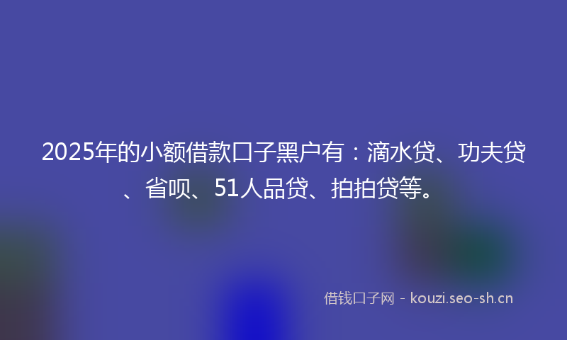 2025年的小额借款口子黑户有:滴水贷、功夫贷、省呗、51人品贷、拍拍贷等。