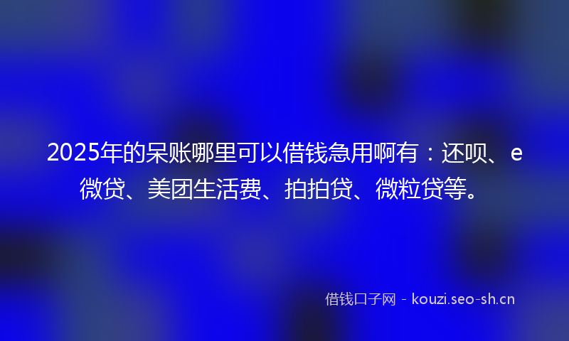 2025年的呆账哪里可以借钱急用啊有:还呗、e微贷、美团生活费、拍拍贷、微粒贷等。