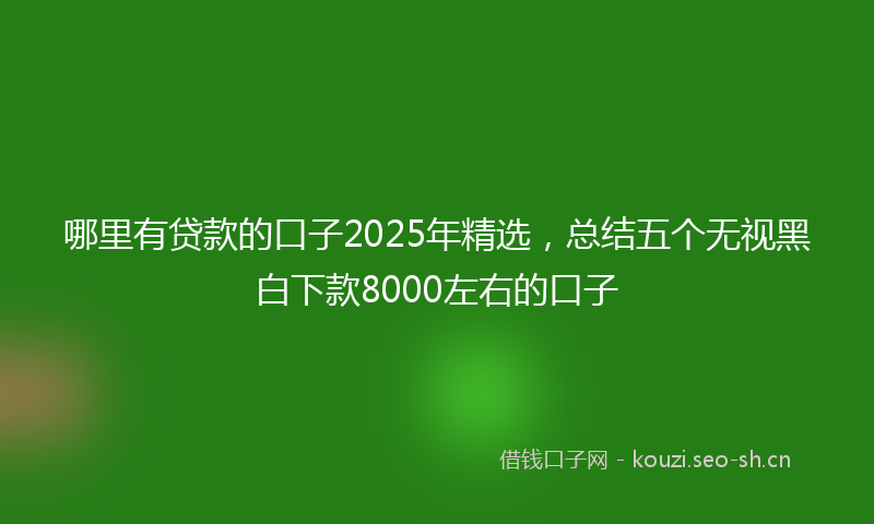 哪里有贷款的口子2025年精选，总结五个无视黑白下款8000左右的口子
