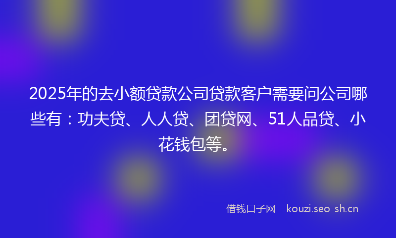 2025年的去小额贷款公司贷款客户需要问公司哪些有：功夫贷、人人贷、团贷网、51人品贷、小花钱包等。