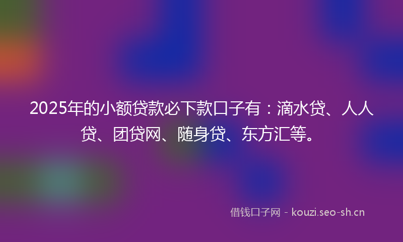 2025年的小额贷款必下款口子有：滴水贷、人人贷、团贷网、随身贷、东方汇等。