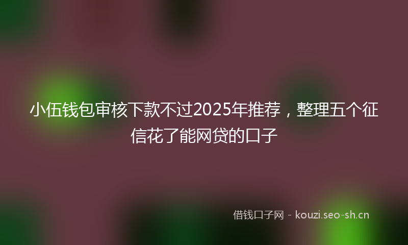 小伍钱包审核下款不过2025年推荐，整理五个征信花了能网贷的口子