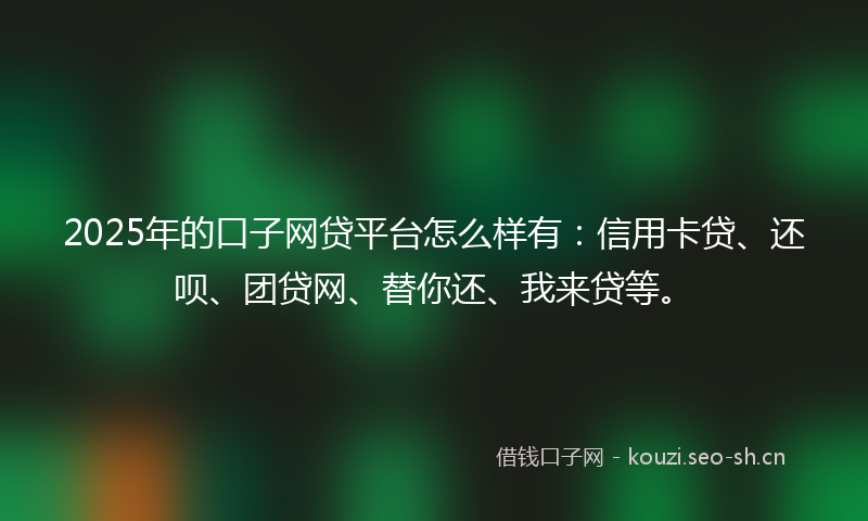 2025年的口子网贷平台怎么样有：信用卡贷、还呗、团贷网、替你还、我来贷等。