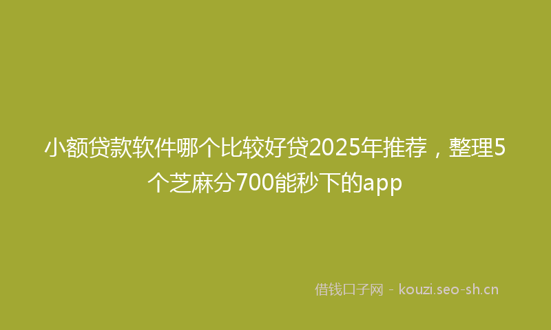 小额贷款软件哪个比较好贷2025年推荐，整理5个芝麻分700能秒下的app
