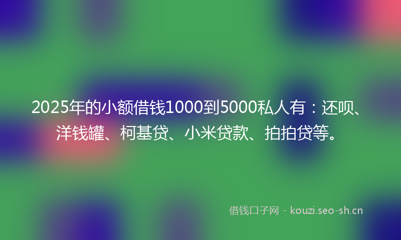 2025年的小额借钱1000到5000私人有：还呗、洋钱罐、柯基贷、小米贷款、拍拍贷等。