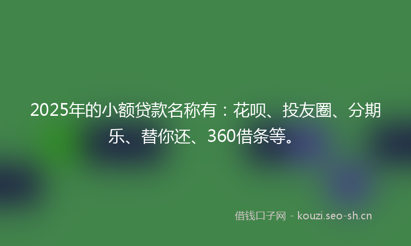 2025年的小额贷款名称有：花呗、投友圈、分期乐、替你还、360借条等。