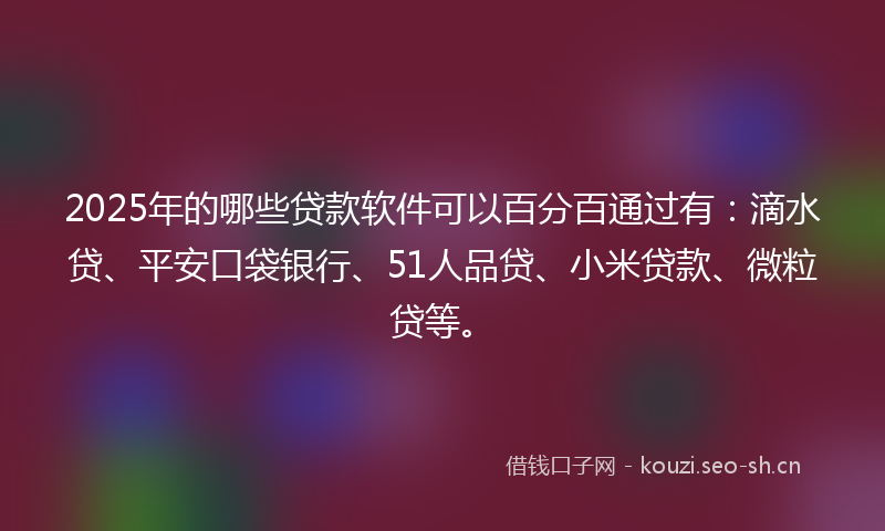 2025年的哪些贷款软件可以百分百通过有：滴水贷、平安口袋银行、51人品贷、小米贷款、微粒贷等。