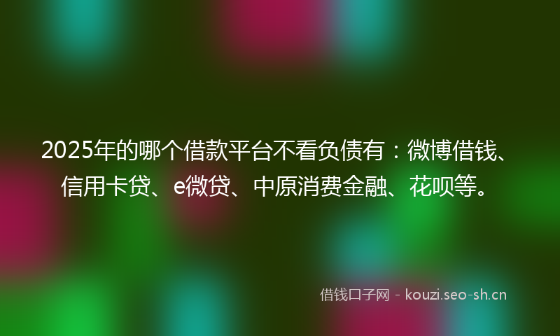 2025年的哪个借款平台不看负债有：微博借钱、信用卡贷、e微贷、中原消费金融、花呗等。