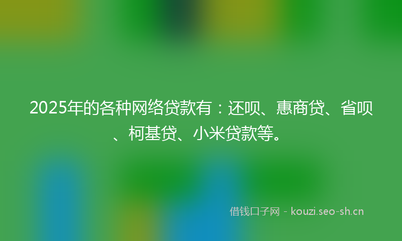 2025年的各种网络贷款有：还呗、惠商贷、省呗、柯基贷、小米贷款等。