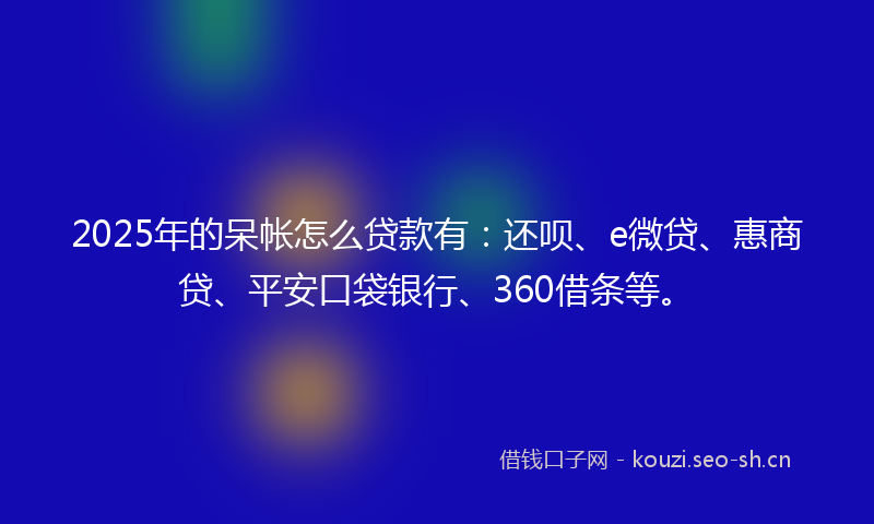 2025年的呆帐怎么贷款有：还呗、e微贷、惠商贷、平安口袋银行、360借条等。
