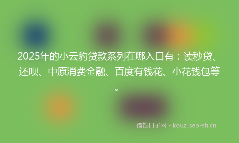 2025年的小云豹贷款系列在哪入口有：读秒贷、还呗、中原消费金融、百度有钱花、小花钱包等。