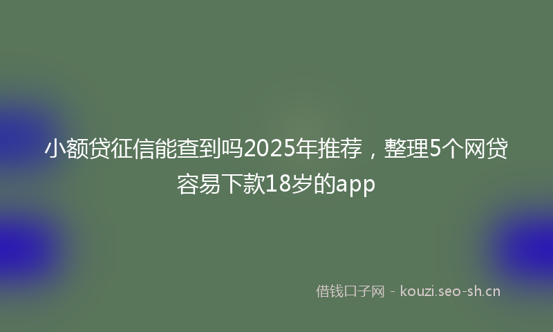 小额贷征信能查到吗2025年推荐，整理5个网贷容易下款18岁的app