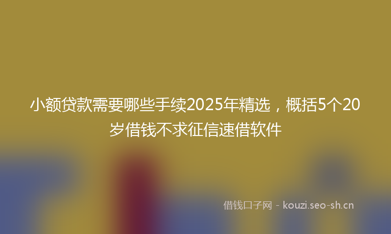 小额贷款需要哪些手续2025年精选，概括5个20岁借钱不求征信速借软件