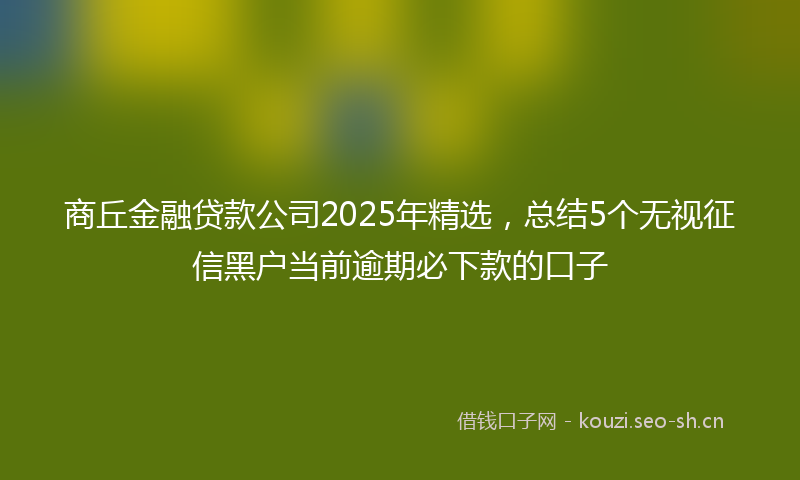 商丘金融贷款公司2025年精选，总结5个无视征信黑户当前逾期必下款的口子