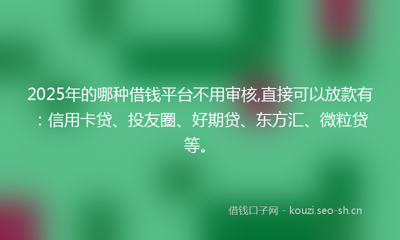 2025年的哪种借钱平台不用审核,直接可以放款有：信用卡贷、投友圈、好期贷、东方汇、微粒贷等。