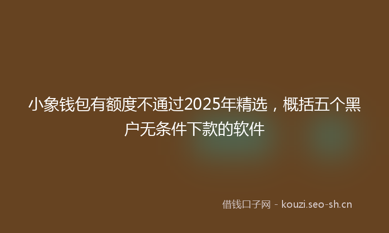 小象钱包有额度不通过2025年精选，概括五个黑户无条件下款的软件