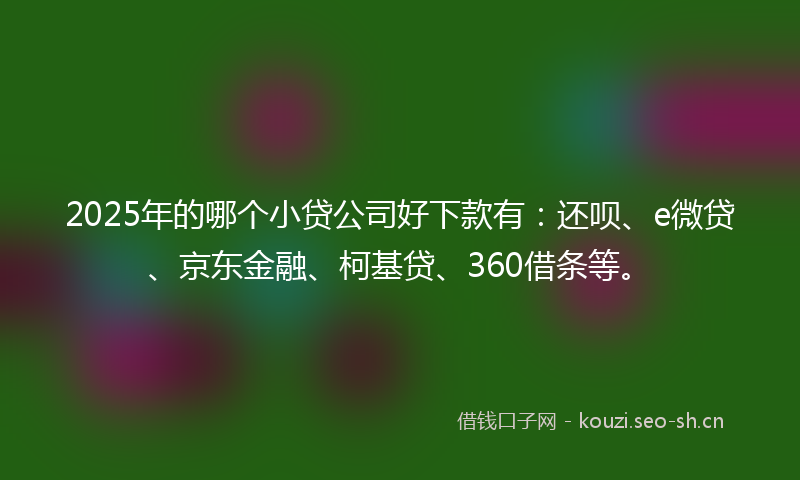 2025年的哪个小贷公司好下款有：还呗、e微贷、京东金融、柯基贷、360借条等。