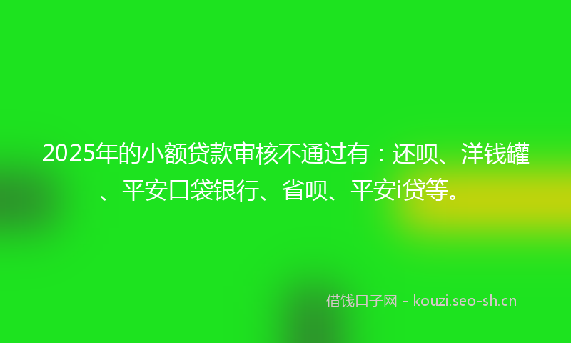 2025年的小额贷款审核不通过有：还呗、洋钱罐、平安口袋银行、省呗、平安i贷等。