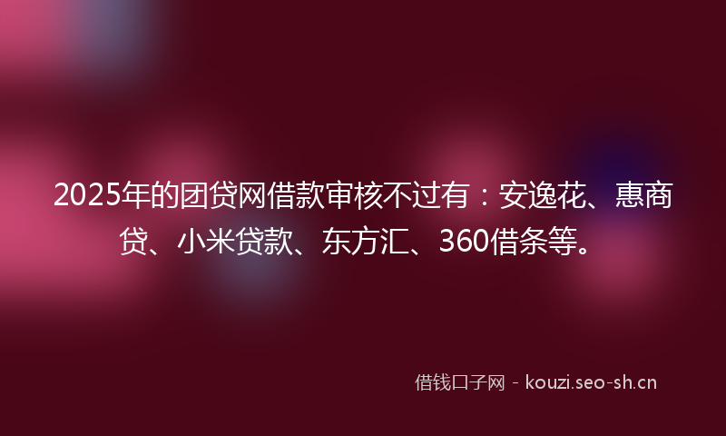 2025年的团贷网借款审核不过有：安逸花、惠商贷、小米贷款、东方汇、360借条等。