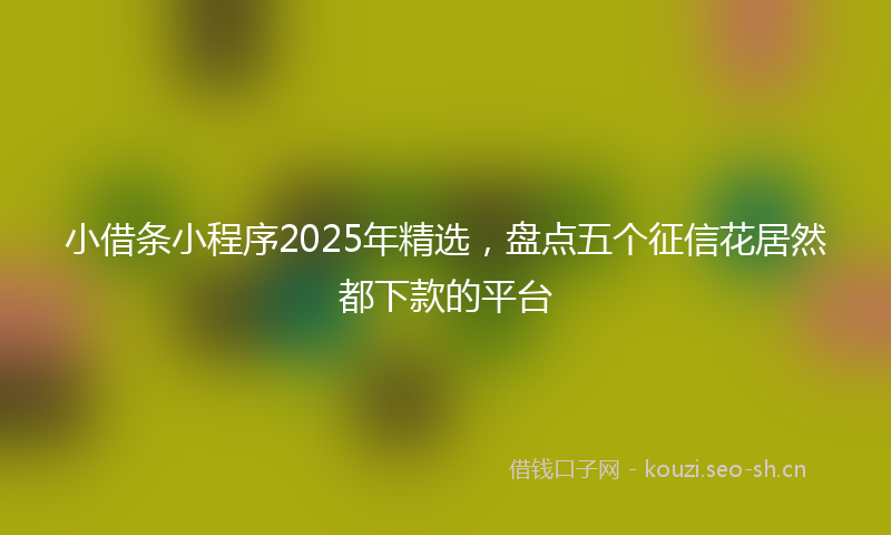 小借条小程序2025年精选，盘点五个征信花居然都下款的平台