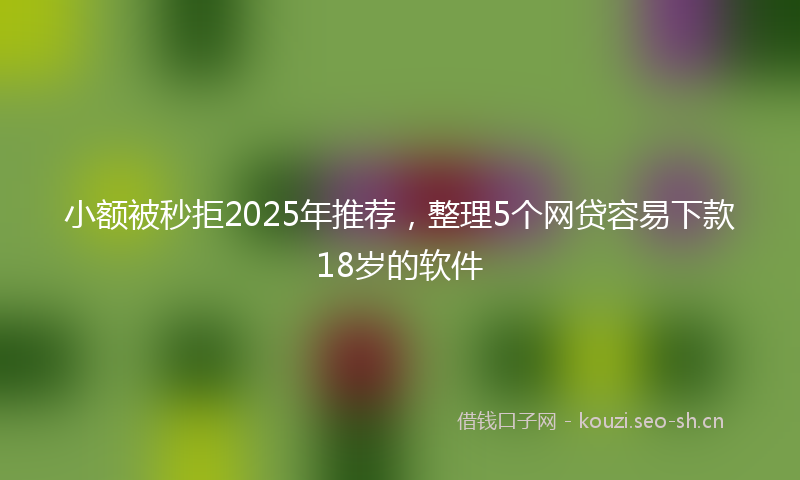小额被秒拒2025年推荐，整理5个网贷容易下款18岁的软件