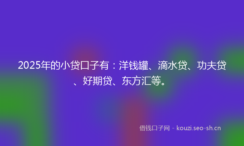 2025年的小贷口子有：洋钱罐、滴水贷、功夫贷、好期贷、东方汇等。
