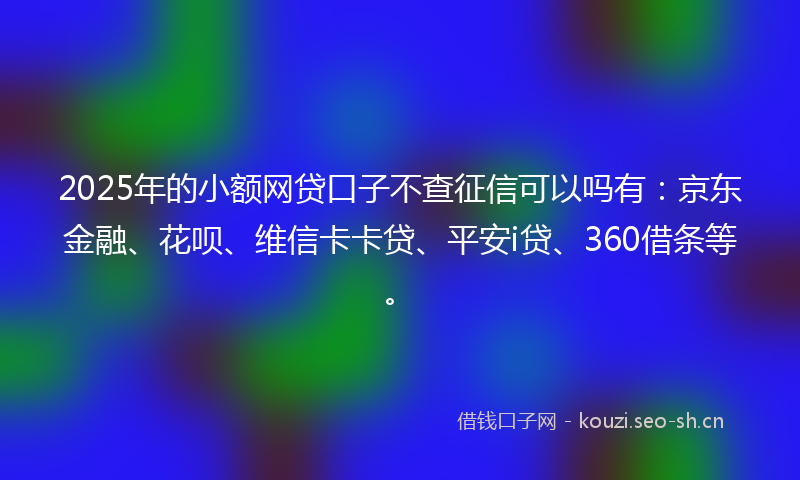 2025年的小额网贷口子不查征信可以吗有：京东金融、花呗、维信卡卡贷、平安i贷、360借条等。