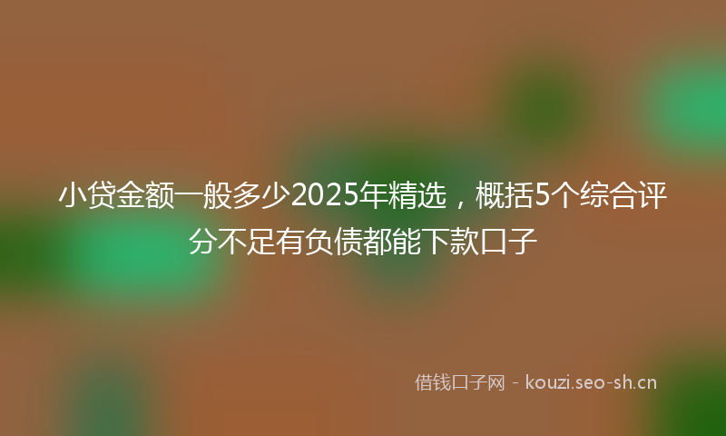 小贷金额一般多少2025年精选，概括5个综合评分不足有负债都能下款口子