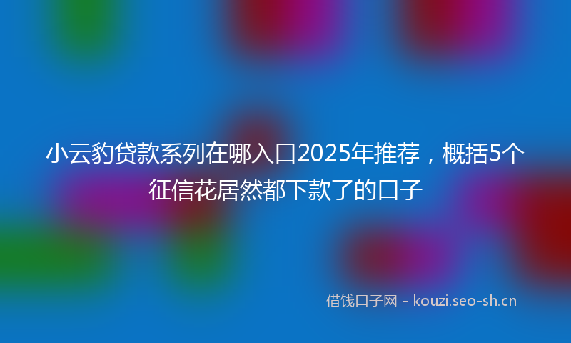 小云豹贷款系列在哪入口2025年推荐，概括5个征信花居然都下款了的口子