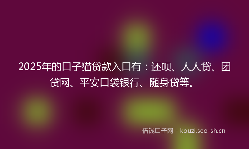 2025年的口子猫贷款入口有：还呗、人人贷、团贷网、平安口袋银行、随身贷等。
