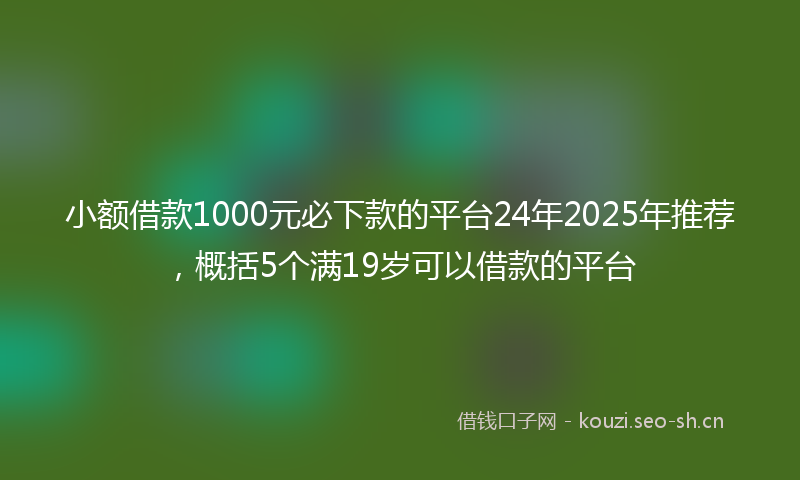小额借款1000元必下款的平台24年2025年推荐，概括5个满19岁可以借款的平台