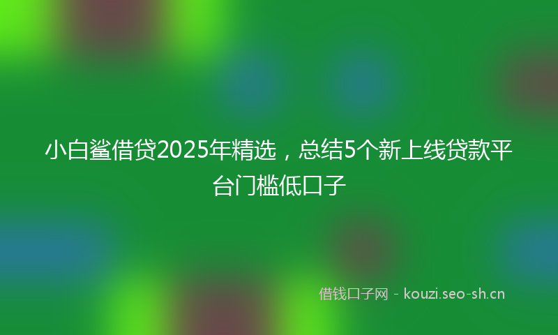 小白鲨借贷2025年精选，总结5个新上线贷款平台门槛低口子