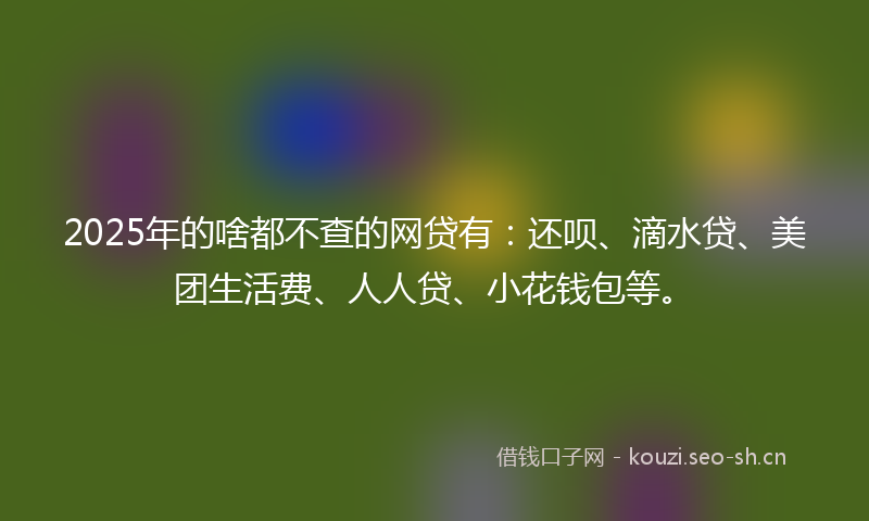 2025年的啥都不查的网贷有：还呗、滴水贷、美团生活费、人人贷、小花钱包等。