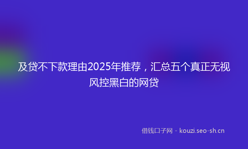 及贷不下款理由2025年推荐，汇总五个真正无视风控黑白的网贷
