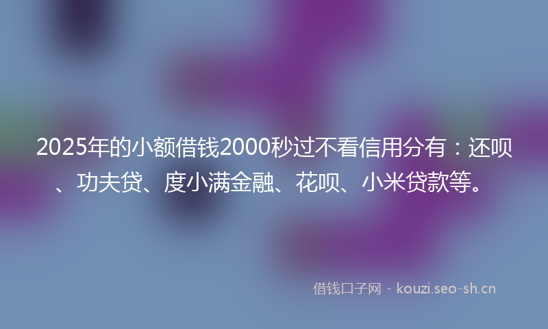 2025年的小额借钱2000秒过不看信用分有：还呗、功夫贷、度小满金融、花呗、小米贷款等。