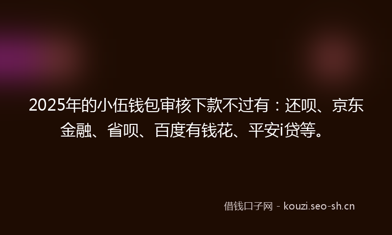 2025年的小伍钱包审核下款不过有：还呗、京东金融、省呗、百度有钱花、平安i贷等。