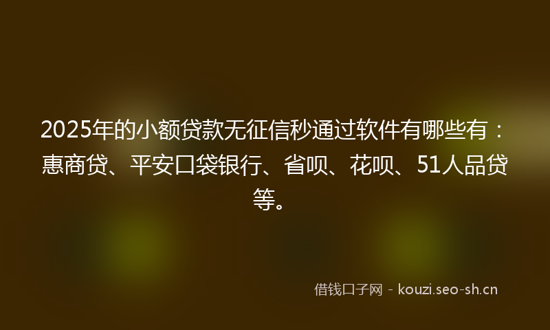 2025年的小额贷款无征信秒通过软件有哪些有：惠商贷、平安口袋银行、省呗、花呗、51人品贷等。
