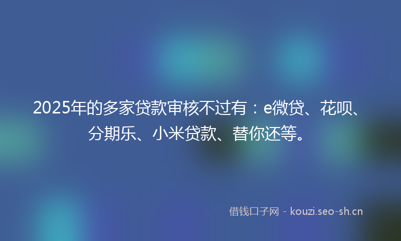 2025年的多家贷款审核不过有：e微贷、花呗、分期乐、小米贷款、替你还等。
