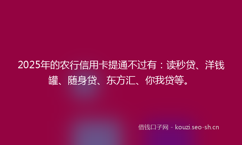 2025年的农行信用卡提通不过有：读秒贷、洋钱罐、随身贷、东方汇、你我贷等。