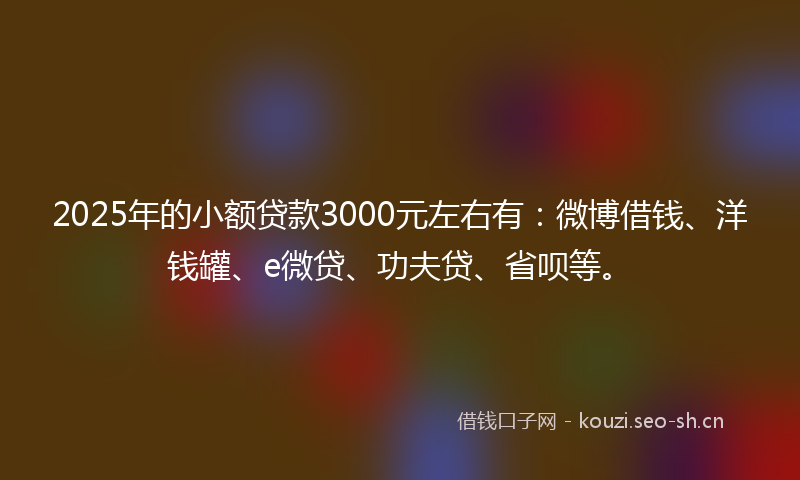 2025年的小额贷款3000元左右有：微博借钱、洋钱罐、e微贷、功夫贷、省呗等。