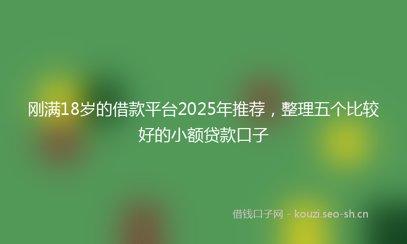 刚满18岁的借款平台2025年推荐，整理五个比较好的小额贷款口子