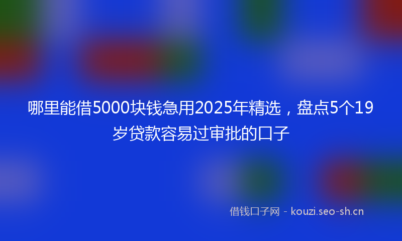 哪里能借5000块钱急用2025年精选，盘点5个19岁贷款容易过审批的口子