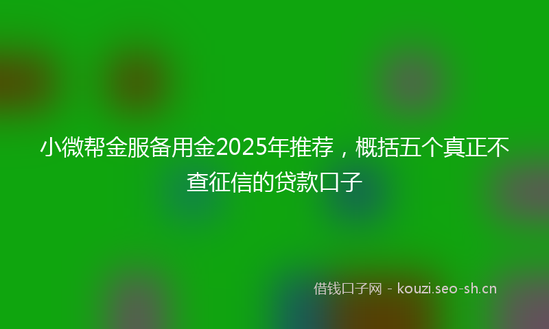 小微帮金服备用金2025年推荐，概括五个真正不查征信的贷款口子
