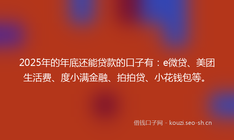 2025年的年底还能贷款的口子有：e微贷、美团生活费、度小满金融、拍拍贷、小花钱包等。