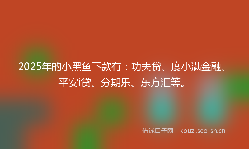 2025年的小黑鱼下款有：功夫贷、度小满金融、平安i贷、分期乐、东方汇等。