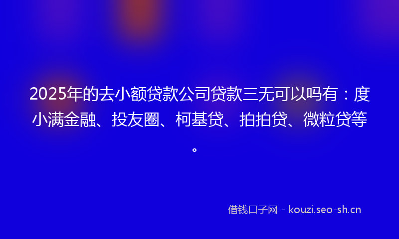 2025年的去小额贷款公司贷款三无可以吗有：度小满金融、投友圈、柯基贷、拍拍贷、微粒贷等。