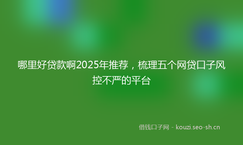 哪里好贷款啊2025年推荐，梳理五个网贷口子风控不严的平台