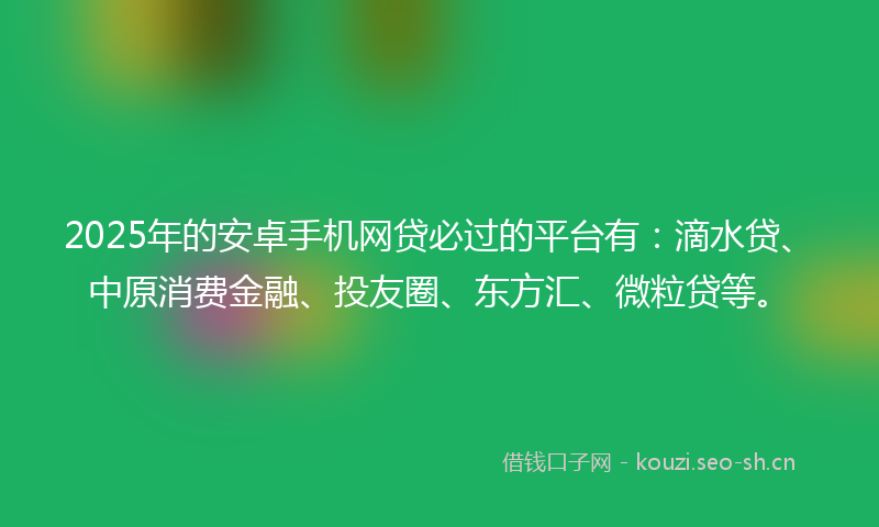 2025年的安卓手机网贷必过的平台有：滴水贷、中原消费金融、投友圈、东方汇、微粒贷等。