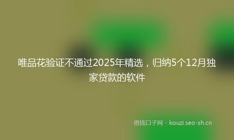 唯品花验证不通过2025年精选，归纳5个12月独家贷款的软件